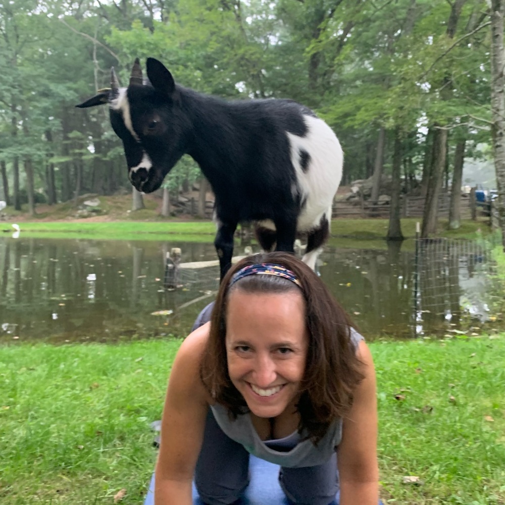 Meet your Posher, Amy